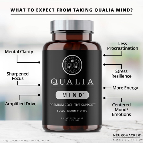 qualia mind info graphic