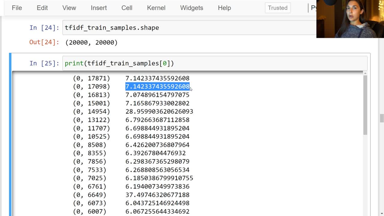 Lesson thumbnail for Text Preprocessing for N-gram Model - PyTorch Sentiment Analysis Project