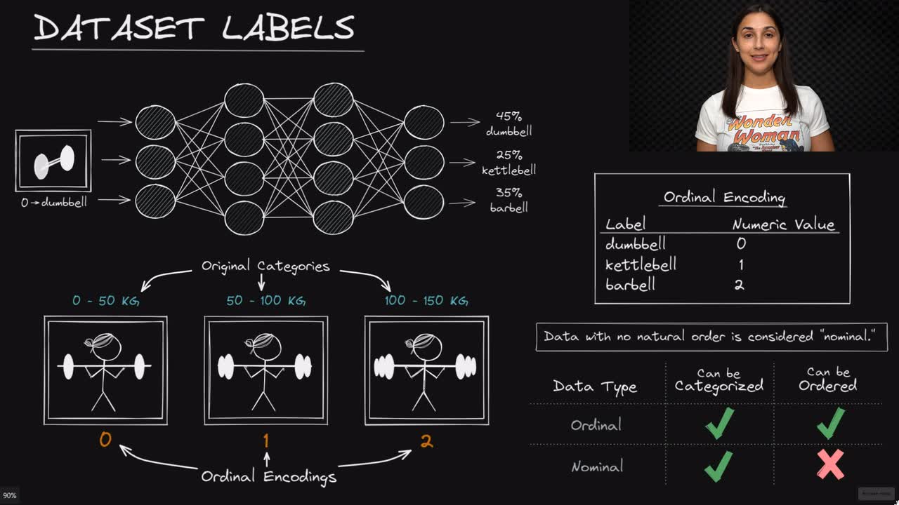 Lesson thumbnail for Input Labels for Neural Networks - Deep Learning Dictionary