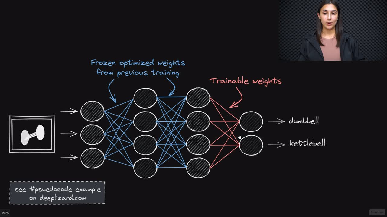 Lesson thumbnail for Transfer Learning & Fine-tuning Neural Networks Explained